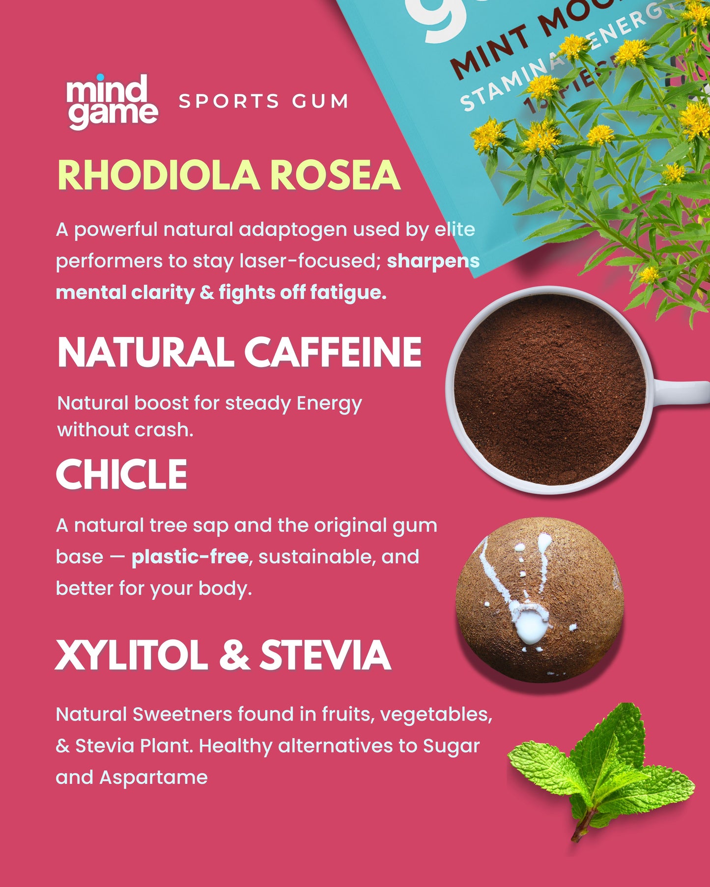 Starter Pack – 2 Packs